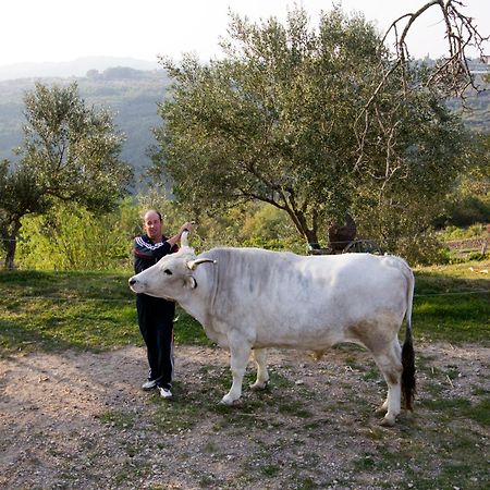 Šmarje Tourist Farm Robivera מראה חיצוני תמונה